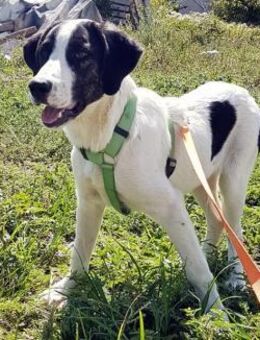 Linda - ein filmreifer Start ins Leben - Mettmann