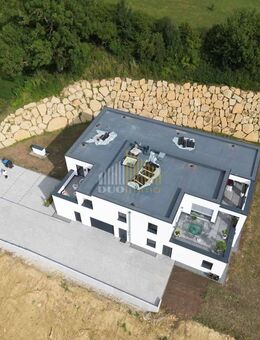 Großzügige Erdgeschosswohnung mit Terrasse und eigenem Gartenanteil - Bitburg