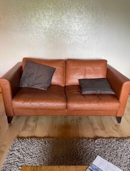 Ledersofa braun von erpo - Neresheim