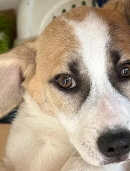 Emoji süß & verspielt - Kallmünz