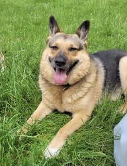 Lena sucht ihre Familie - Kalkar