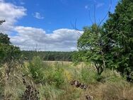 Natur erleben! - Bad Saarow