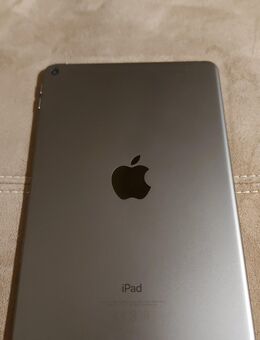 Ipad 5 Mini Wi-Fi + Cellular 256 GB - Space Grau - Stade (Hansestadt)