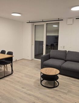 möblierte 2-Zimmer-Wohnung in Bad Friedrichshall zu vermieten - Bad Friedrichshall