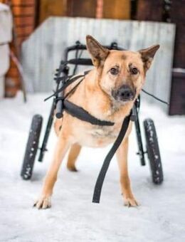 Junita mit Handicap- na und? - Süderholz