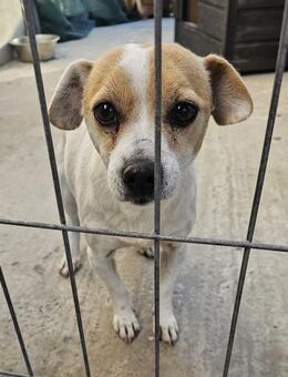 HERNI - 27 cm und niedlich - Weilheim (Oberbayern)