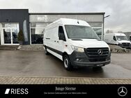 Mercedes Sprinter, 315 MAXI 4325 L3H2 °, Jahr 2022 - Rottweil