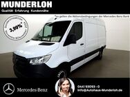 Mercedes Sprinter, 317 Kasten Standard, Jahr 2023 - Oldenburg