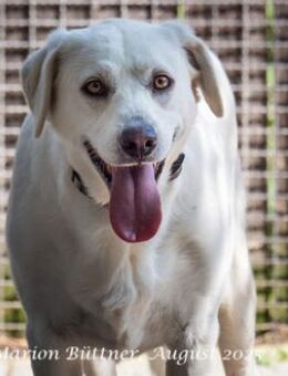 Bianca ist sehr zurückhaltend - Egelsbach