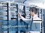 Duales Studium Data Science & KI - ab 01.09.2025 - Ochsenhausen