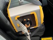 Kleinmetall Hundebox Care2 Gelb*Borgmann* - Krefeld