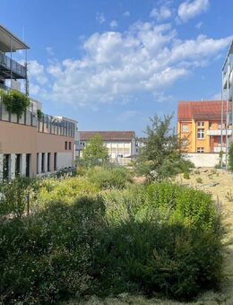 NEUBAU - Moderne 3 Zimmer-Stadtwohnung in Singen - Singen (Hohentwiel)