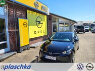 Opel Corsa, 1.2 F Multimedia Edition, Jahr 2023 - Munster