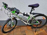 E-Bike Bulls Green Mover Jinga zu verkaufen - Hückeswagen (Schloss-Stadt)