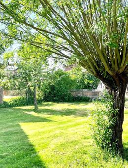 1-Fam.-Haus mit großem Garten und viel Potenzial - Nersingen