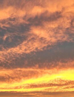 Suche Mann für den Beginn einer Partnerschaft - Saarbrücken