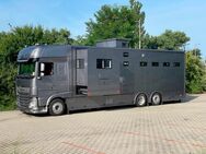 Pferdetransporter Wohnmobil LKW Neufahrzeug 530PS Horsetruck Cavallo Truck DAF - Unterschneidheim