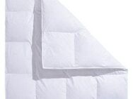 RIBECO Daunenbettdecke extra prall, Füllung: 80% Daunen, 20% Federn, Bezug: 100% Baumwolle, Federbettdecke in 135x200 und 155x220 Topseller