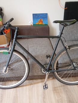 Verkaufe ein 28 zoll Fahrrad für Herren - Oldenburg