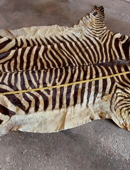 Zebrafell mit Vermarktungsgenehmigung - Hameln