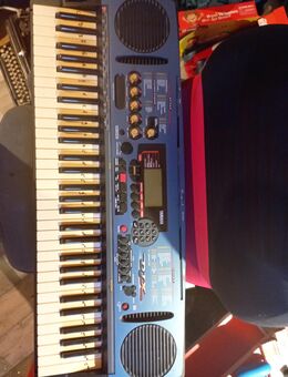 Biete Yamaha djx mit Ständer - Eisleben (Lutherstadt)