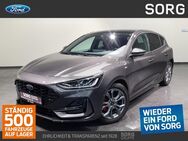 Ford Focus, 1.5 EcoBlue ST-Line X iACC, Jahr 2023 - Fulda