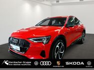 Audi e-tron, Standklima & Außenspiegel, Jahr 2021 - Grünstadt