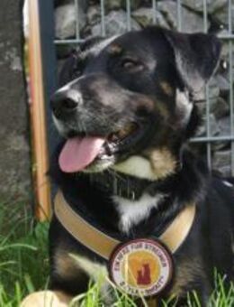 Freundliche Moira - München