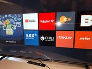 Thomson Led TV 55 Zoll smart - Kassel