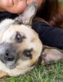 CHILLY - Lässige Hundefreundin - Augsburg