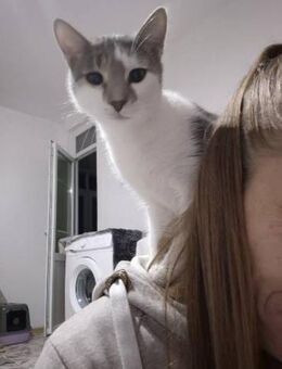 fürsorlicher Maxi - Augsburg