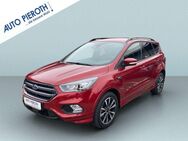 Ford Kuga 2.0 TDCi 4x4 Aut. ST-Line - Worms