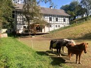 Traumobjekt Bauernhof mit ca. 36.000 m² Grundstück - Berga (Elster)
