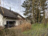 Niederzell - Bevorzugte Wohnlage - Schlüchtern