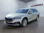 Skoda Octavia, 2.0 TDI Combi Scout, Jahr 2021 - Grafenhausen