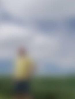 See*** - Illingen (Baden-Württemberg)