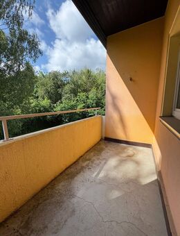 Schöne 2-Zimmer-Mietwohnung in beliebter Wohnlage - Helmstedt - Helmstedt