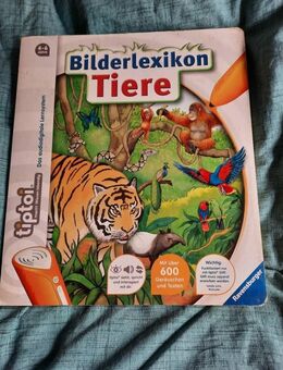 Tiptoi Starterset und diverse Bücher - Reinheim