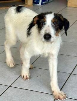 Kleiner Cain - große Hoffnung - Hückelhoven