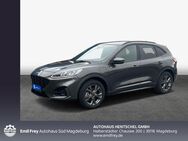 Ford Kuga 2.5 Duratec PHEV ST-LINE X - Magdeburg