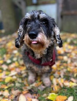 Käthe kleine Beine großes Herz ❤ - München