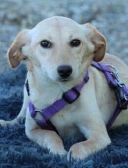 Ajala sucht ihre Lieblingsmenschen - Hagen (Stadt der FernUniversität)