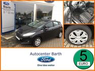 Ford Fiesta, 1.0 EcoBoost Titanium, Jahr 2013 - Grimmen