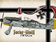 Schönes Blechschild Flugzeug Focke Wulff Fw 190 A 20x30 cm - München