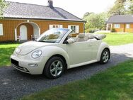 Volkswagen New Beetle Cabrio 1.9 TDI 105 & Tuv neu 08/24 - Krumbach (Schwaben)