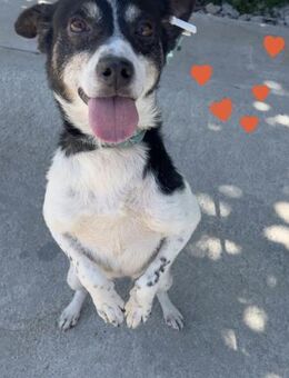 Liebes ruhiges kleines Mädel INNA ♥️ - München