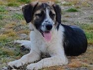 Bruno will die Welt entdecken - München