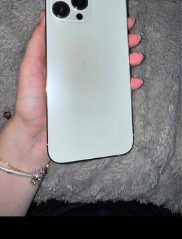 Iphone 13pro max - Erfurt