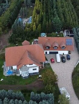 Einfamilienhaus mit Betriebsgebäude und großem Grundstück - Wohnen und Arbeiten unter einem Dach - Landau (Pfalz)