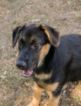 MITJA - jede Zuneigung richtig genießen - Overath